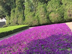 -上海市龙华烈士陵园