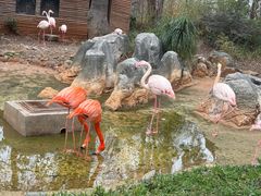 -昆明动物园