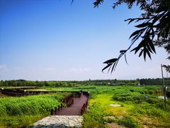 -怀来官厅水库