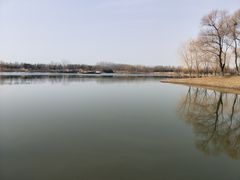 -东郊湿地公园