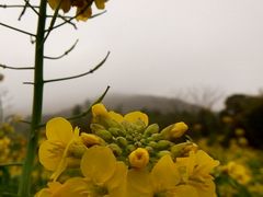 android_upload_pic-广州市石门国家森林公园
