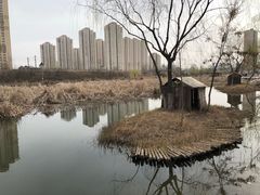 -前关湿地公园