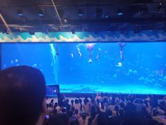 -烟台海昌鲸鲨海洋公园