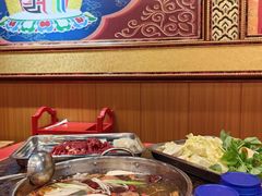 -金鼎雪山牦牛杂火锅(理县总店)