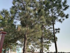 -迪士尼小镇