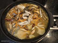 -草墩罗非鱼庄•野生菌•腊排骨(七星街上段店)