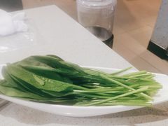 菠菜-海底捞火锅(之心城店)