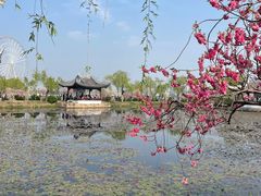 -无锡蠡湖国家湿地公园-蠡园