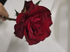 -嘻嘻·花艺(智创城店)