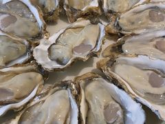 -千岛蚝高压锅生蚝·人参火锅(白云万达店)