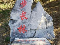 -北京十三陵国家森林公园蟒山景区