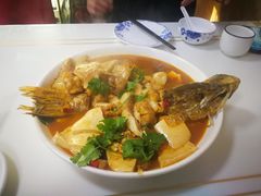 -煲来饱去冷水鱼