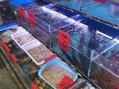 水产区-金海湾海鲜排档(朱家尖店)