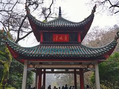 -茶颜悦色(登高路上店)