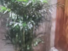 -东方威尼斯温泉酒店