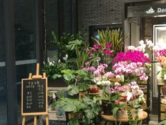 -豆豆花艺(新光天地店)