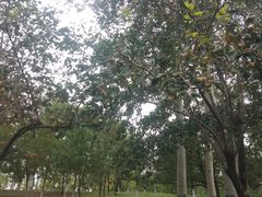 -青龙湖公园