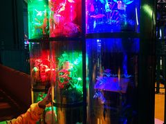 -幸福花欢乐世界(东辰广场A座店)