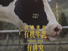 -阿嬷手作(南宁水晶城店)