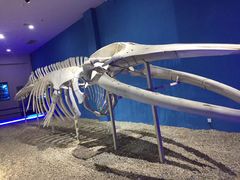 -福州罗源湾海洋世界旅游区