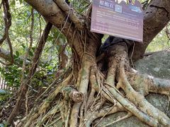 -七仙岭温泉国家森林公园