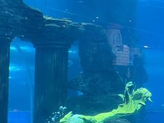 -嘉兴海底世界