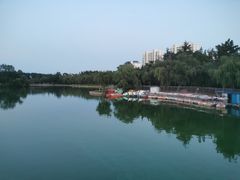 -莱西月湖公园