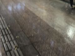 -康大口蘑面庄(将军街店)