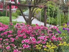 -上海鲜花港
