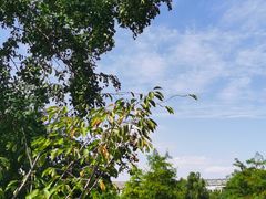 -昆山城市生态森林公园