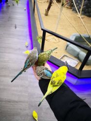 -未来动物城主题公园(正弘城店)