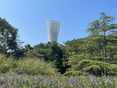 -上海滨江森林公园