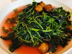 -东海朗廷酒店-唐阁T’ANG COURT 中餐厅