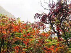 -白草畔自然风景区