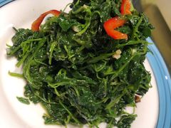 爽口万年青-巴依老爷新疆美食(清华东门店)