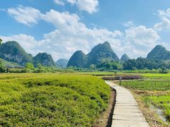 -靖西鹅泉风景区