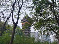 -塔子山公园