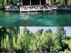 -趵突泉景区
