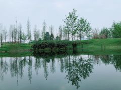 -眉山湿地公园(东坡区)