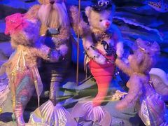 -成都泰迪熊博物馆