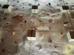 -青岛贝壳博物馆