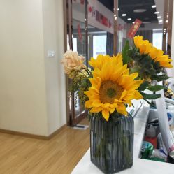 -亚太瑜伽普拉提学院