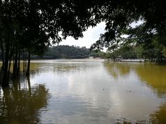 -西樵山风景名胜区-天湖公园