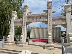 -武清南湖绿博园