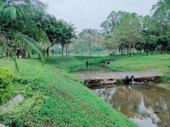 -东莞海逸高尔夫球会