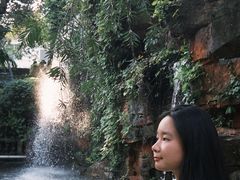 -碧江金楼