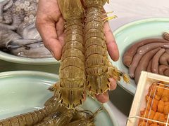 -金龙·打边炉(南京西路店)