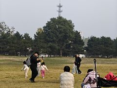 -石家庄市植物园