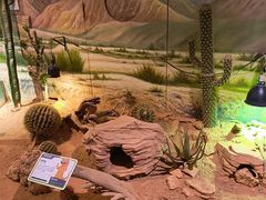 -正佳雨林生态植物园