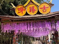 -呀路古热带植物园